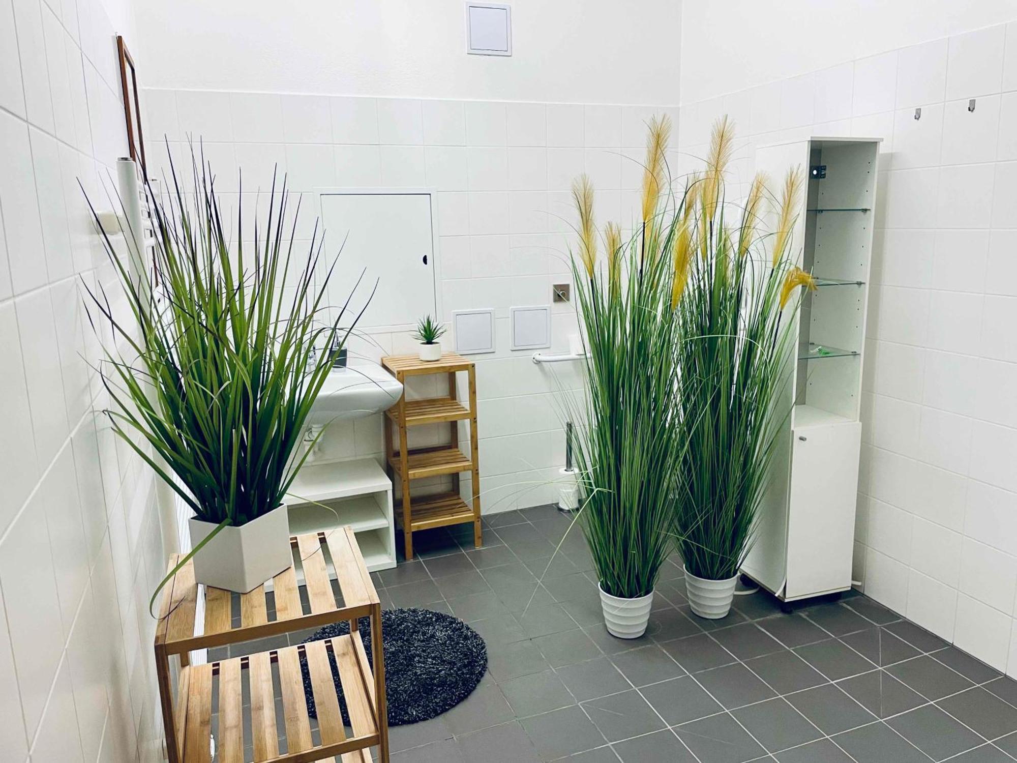Campea Business Apartment *